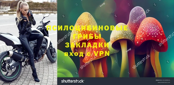 эйфоретик Щучье
