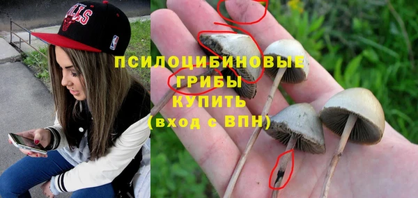 эйфоретик Щучье