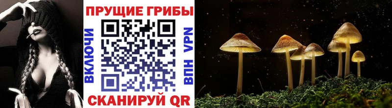 Галлюциногенные грибы MAGIC MUSHROOMS  купить закладку  OMG ссылка  Тулун 