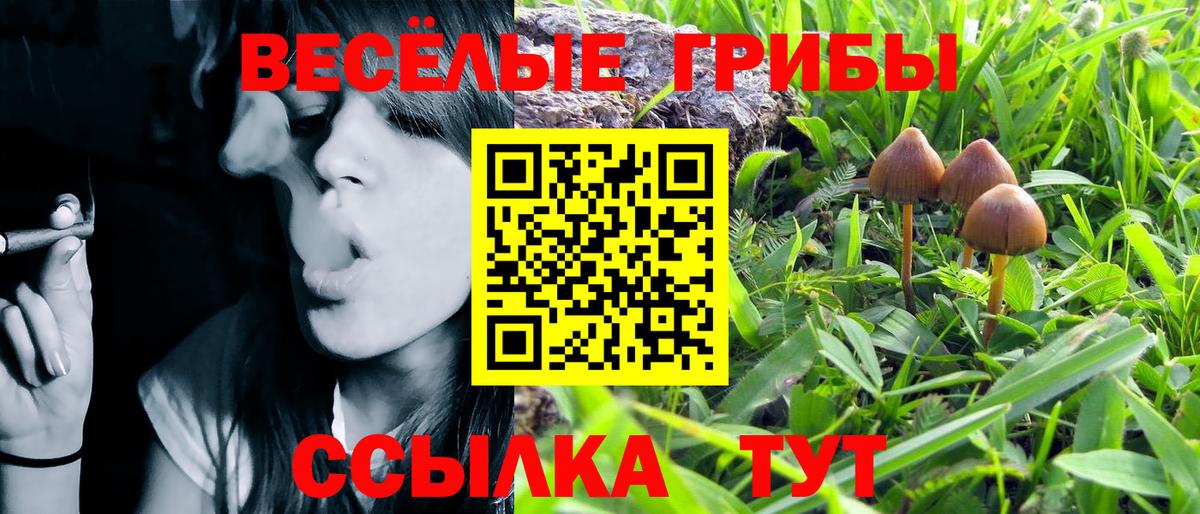 Галлюциногенные грибы MAGIC MUSHROOMS Тулун